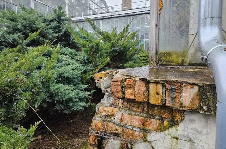 palm house in Poznan's Wilson Park