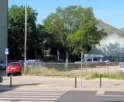 palmiarnia w poznańskim parku Wilsona