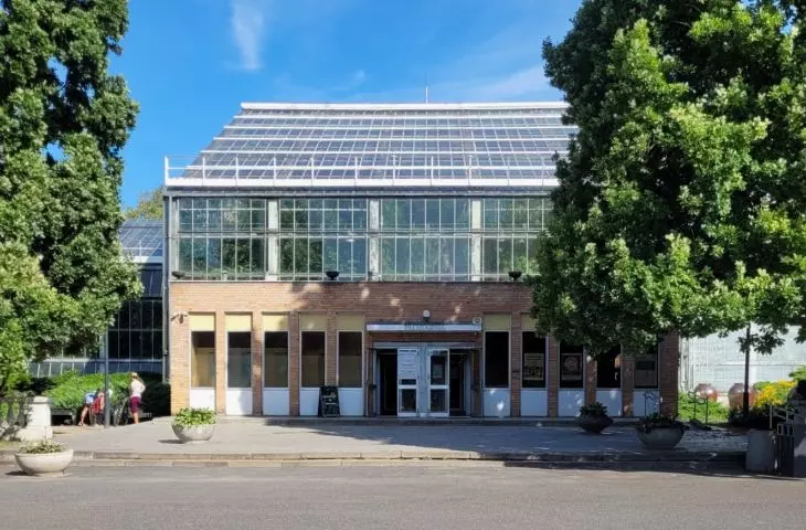 palmiarnia w poznańskim parku Wilsona