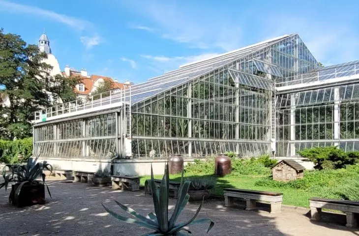 palmiarnia w poznańskim parku Wilsona