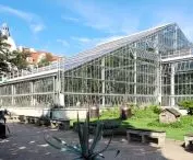 palmiarnia w poznańskim parku Wilsona