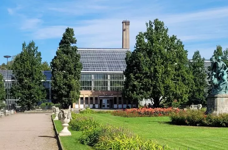 palmiarnia w poznańskim parku Wilsona