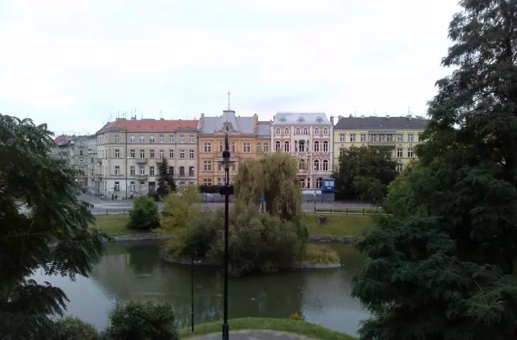 widok ze Wzgórza na wysepkę zamieszkiwaną przez łabędzie