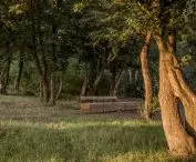 Park Pamięci w Groblicach