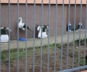 zza ogorodzeń często widać zdobiące ogród figurki z gipsu lub kompozycje z opon