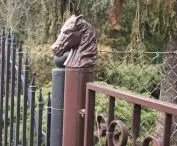 fence decoration