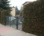 modern fences