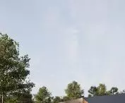 wizualizacja