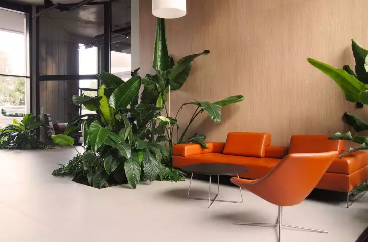 Expansion of Ambit's headquarters in Leszno
