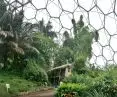 Eden Project w Kornwalii