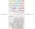 monograph