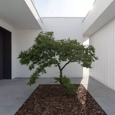 Multigenerational home