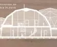section