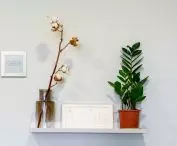 Sonata Touch Wi-Fi – elegancja i technologia w jednym 