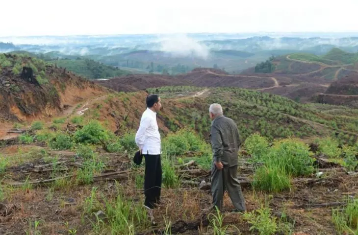 The then President Joko Widodo, along with then East Kalimantan Governor Isran Noor, visit Nusantara.