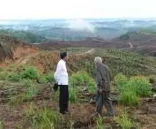 The then President Joko Widodo, along with then East Kalimantan Governor Isran Noor, visit Nusantara.