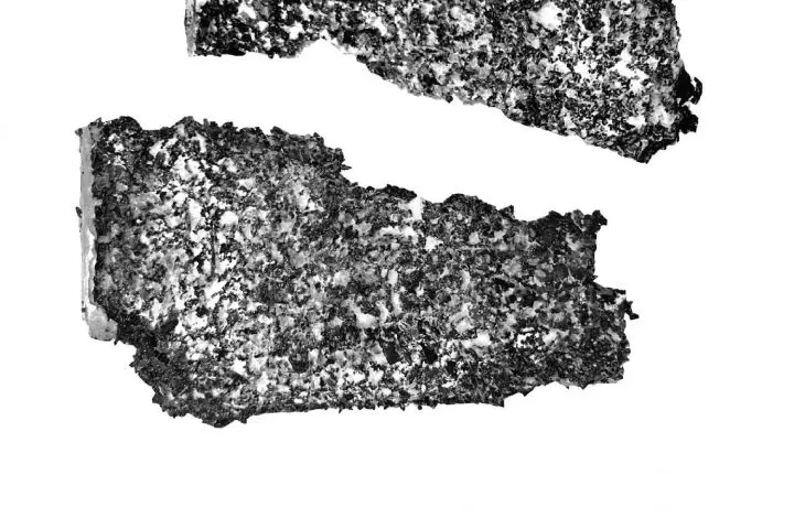removal of insulation structure from the fungus