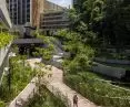 Kampus Singapurskiego Instytutu Technologii