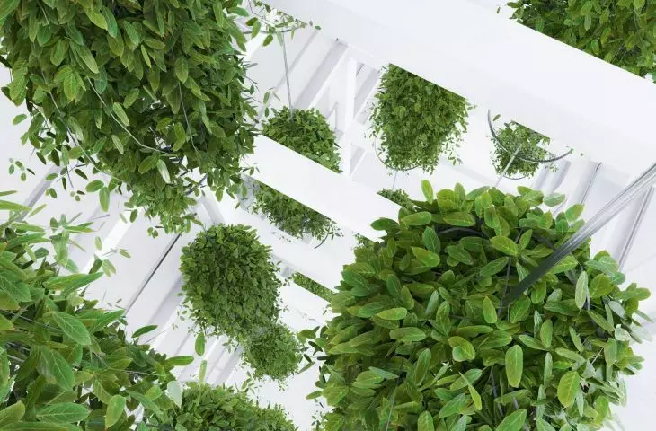 floral spatial installation