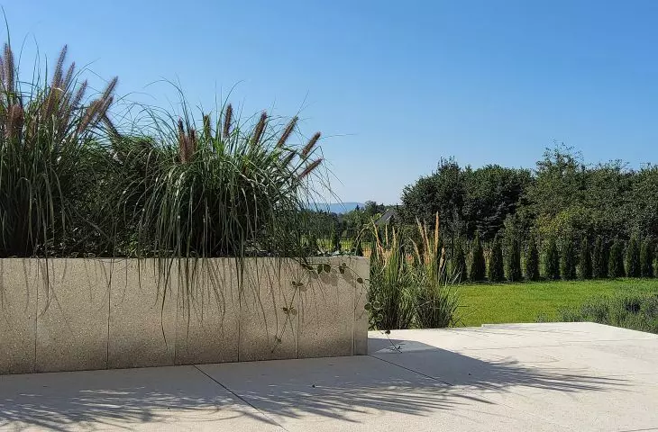 Palisada Grande Kalibria bianco crema; Gigante Grande Kalibria bianco crema