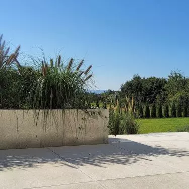 Palisada Grande Kalibria bianco crema; Gigante Grande Kalibria bianco crema