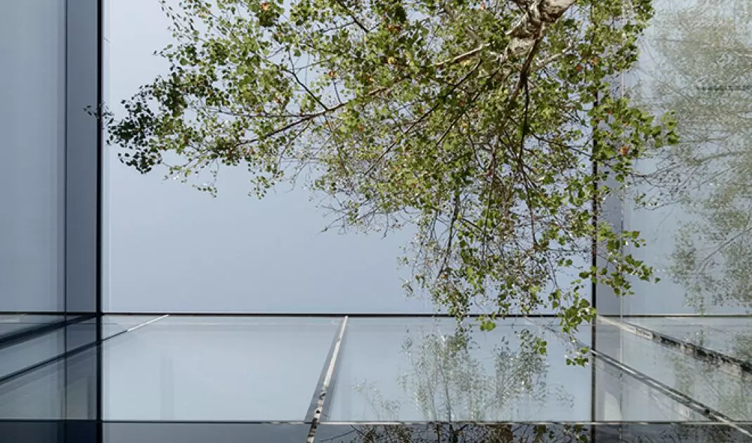 Inside Out Villa in Krakow
