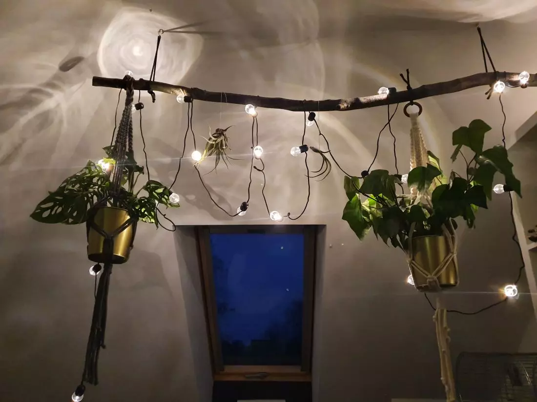 projekt FlowerShop