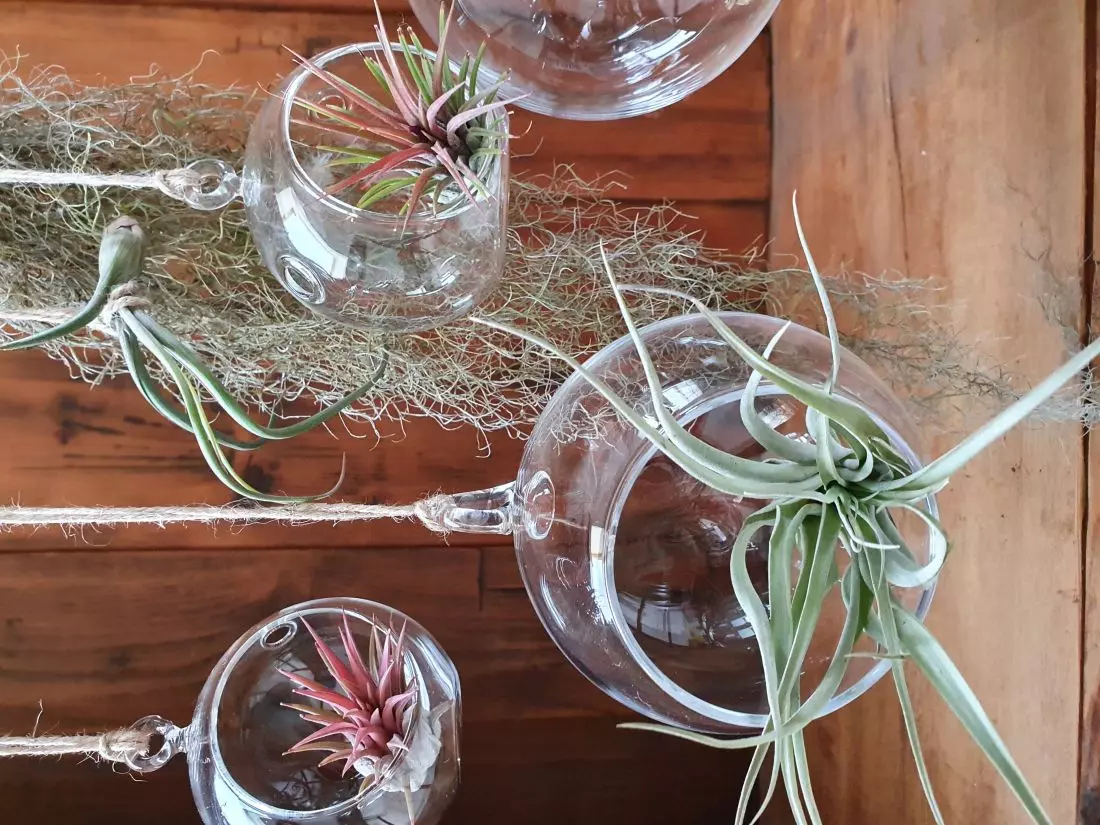 projekt FlowerShop