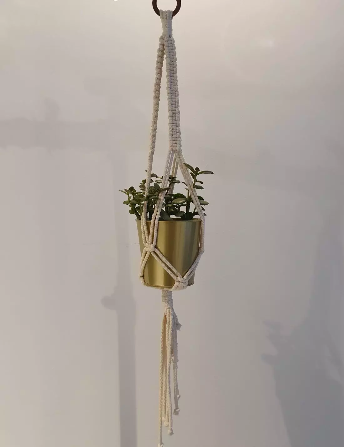 projekt FlowerShop