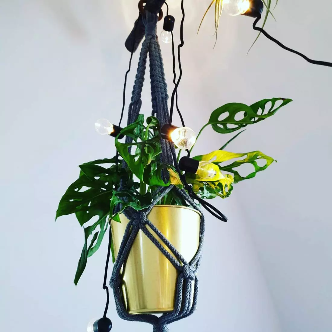 projekt FlowerShop