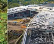 Organiczna farma dachowa w Tajlandii