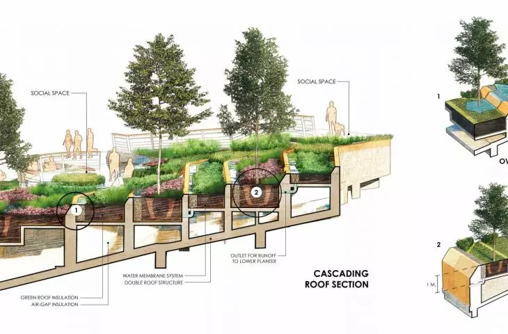 Organiczna farma dachowa w Tajlandii
