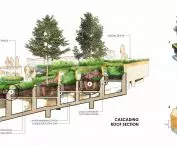 Organiczna farma dachowa w Tajlandii