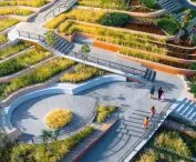 Organic rooftop farm in Thailand