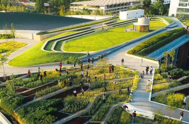 Organic rooftop farm in Thailand