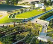 Organiczna farma dachowa w Tajlandii