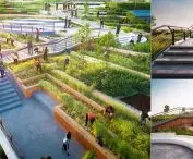 Organic rooftop farm in Thailand
