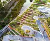 Organic rooftop farm in Thailand