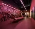 wystawa „Una Breve Vacanza”, Pawilon Polski, Triennale w Mediolanie, 2025