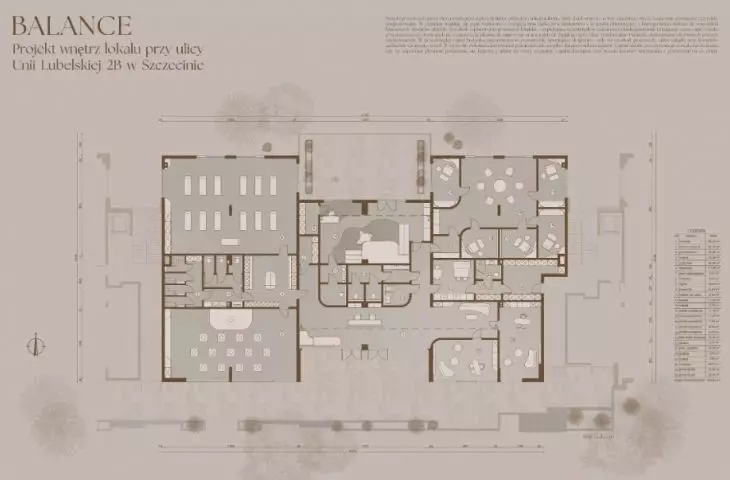 visualization - projection 