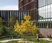 Budynek naukowo-badawczy Maersk Tower