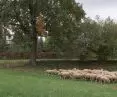 Dom przy pastwisku