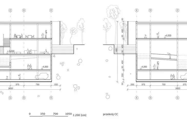 sections