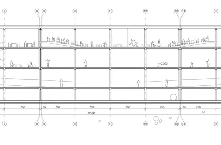 section