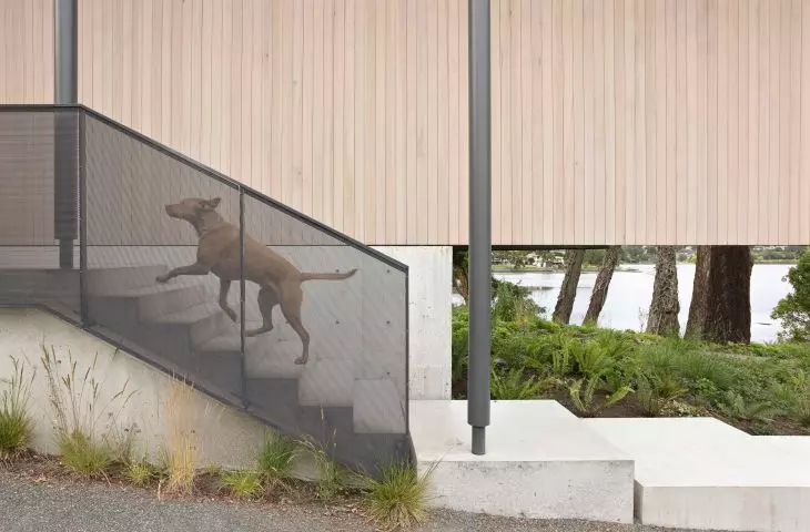 Shoreline House