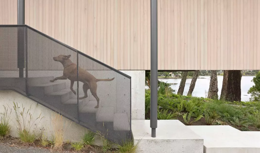 Shoreline House