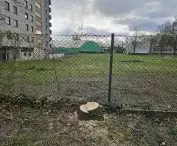 Tree cutting before the start of construction of the Ice Arena