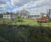 Tree cutting and view of the modernist KSOS complex