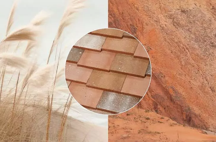 Kolor Dune 