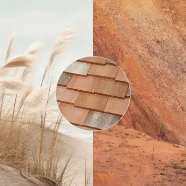 Kolor Dune 